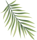 leaf 1