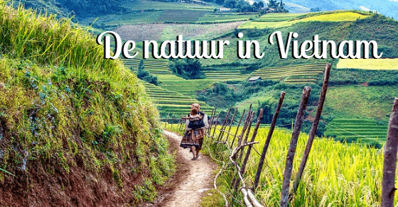 Vietnam natuur is overweldigend
