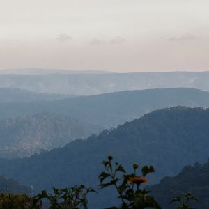 Dalat Dalat