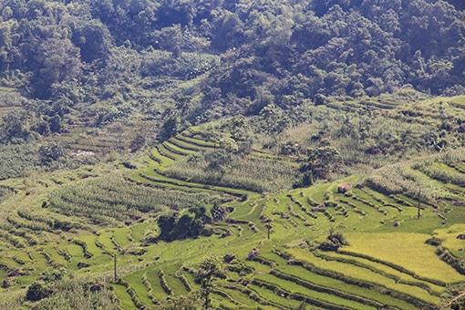 Pu Luong Nature Reserve Pu Luong trekking