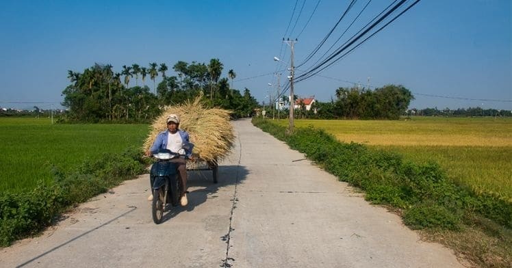 Rijstvelden rond Hoi An Fietspaden tussen de rijstvelden