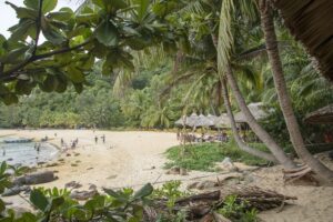 cu-lao-cham Cham Island