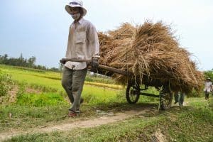 Lokale boer tijdens de fietstour in Hoi An