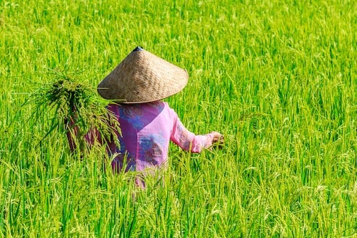 Een dag in Mai Chau tijdens de luxe rondreis door Vietnam.