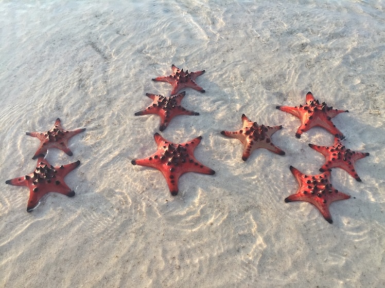 Starfish beach op Phu Quoc.