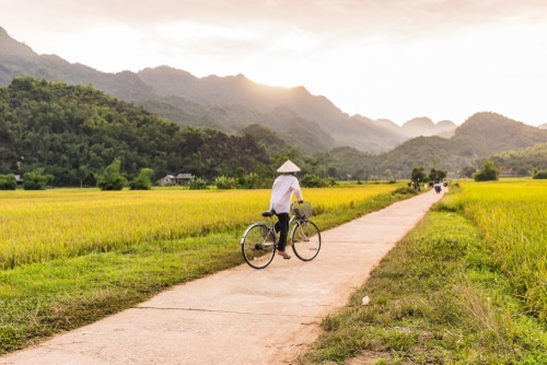 Mai Chau