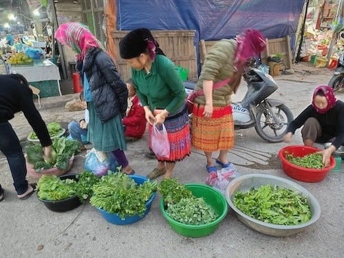 Markt Noord Vietnam