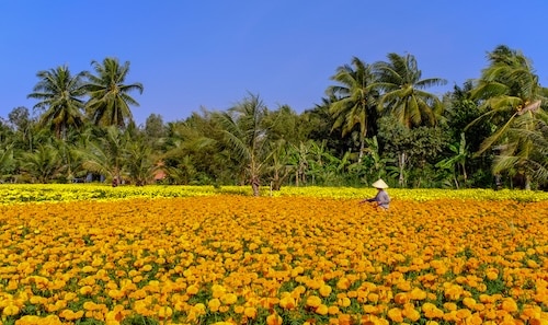 Mekong Delta