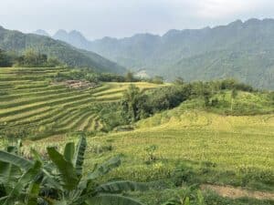 pu-luong Pu Luong