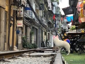 Hanoi Train Street