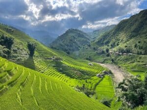 sapa-vn
