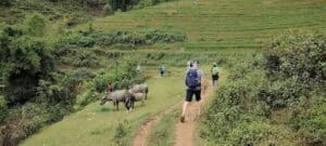 wandelen-in-sapa