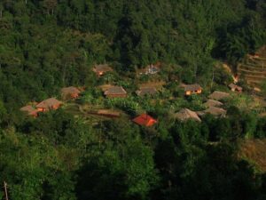 ecolodge-2 (1)