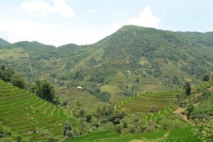 landschap-hoang-su-phi-tour-2 (1)