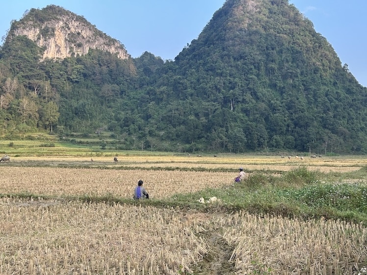 37A9EFEF-40B2-4E72-B0AF-F0B5000A8FC7_1_105_c