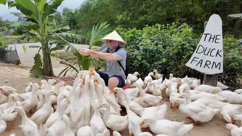 Het platteland van Phong Nha verkennen is een geweldige activiteit. 
